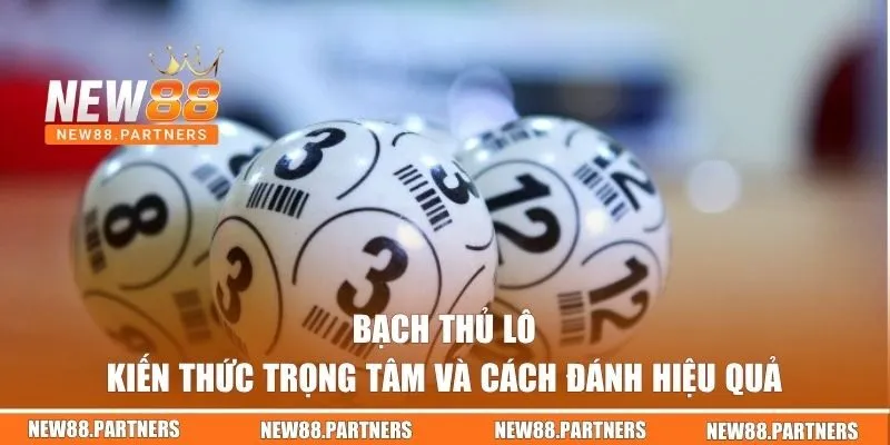bạch thủ lô