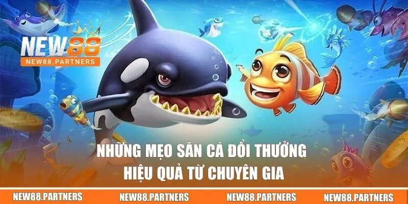 Bắn Cá New88 | Sân Chơi Đổi Thưởng Vui Nhộn, Giá Trị 3 Những mẹo săn cá đổi thưởng hiệu quả từ chuyên gia